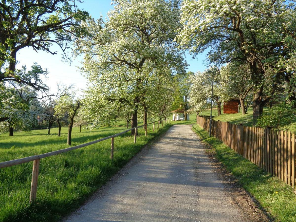 Apartments Himmelreich Ternitz Buitenkant foto